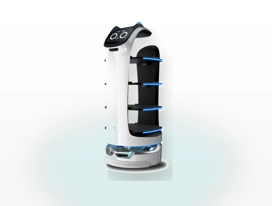 Service-Roboter